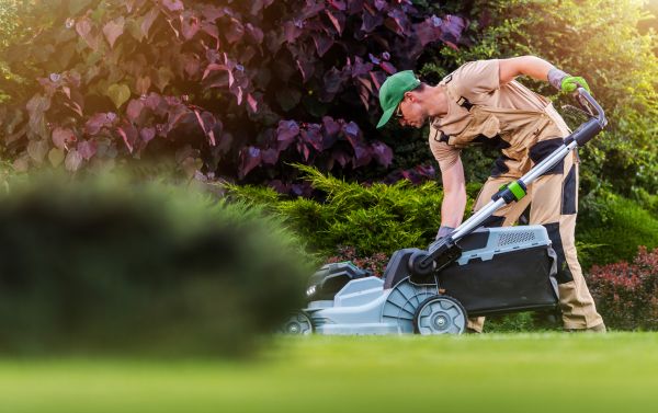Lawn Care And Maintenance in Riverside