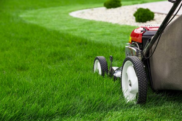 Mowing Service in Riverside
