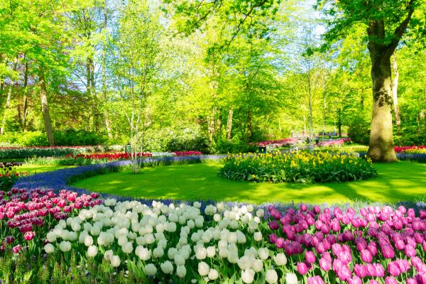 Spring Lawn Care in Riverside