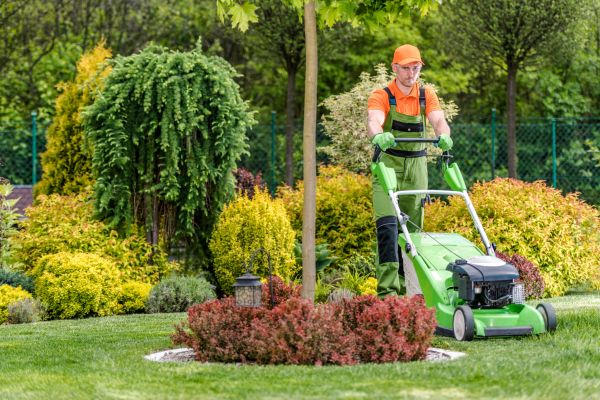 Cost of Commercial Yard Maintenance in Riverside