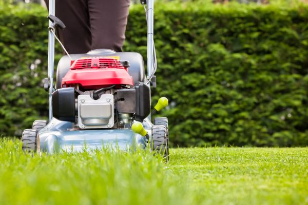 Grass Trimming Service in Riverside