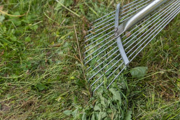 Thatch Raking in Riverside