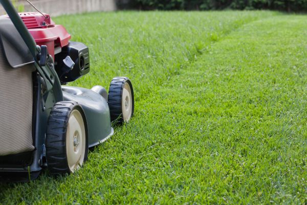 Spring Lawn Maintenance in Riverside