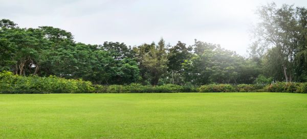 Cost of Golf Course Mowing in Riverside