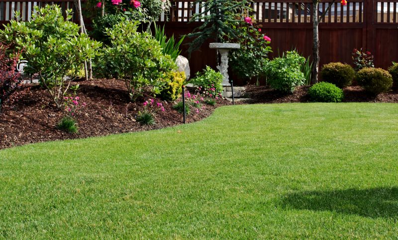 Healthy Lawn Benefits