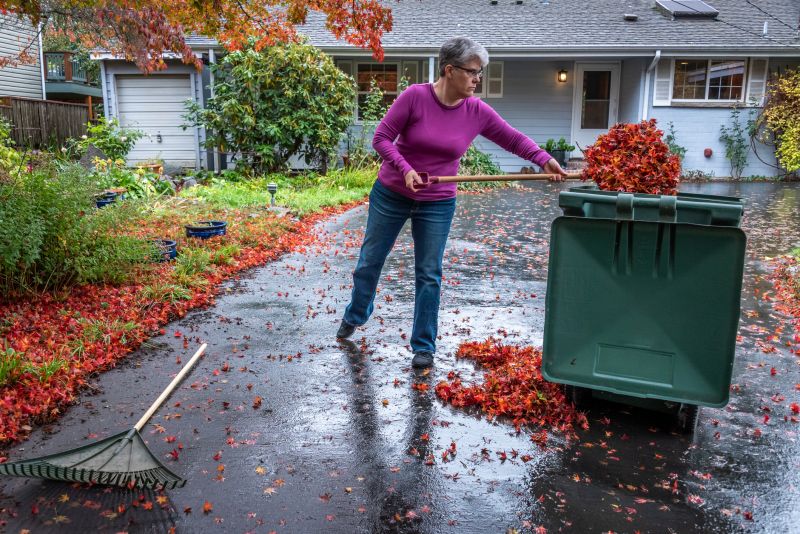 Leaf Removal Service in Progress