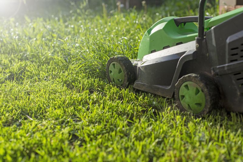 Lawn Cutting Service detail