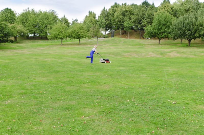 Lawn Mowing in Afternoon