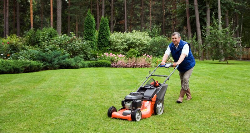 Experienced Lawn Care Professionals
